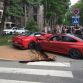 BMW-M4-Ferrari-California-Crash-5
