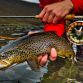 Bentley Bentayga Fly Fishing by Mulliner (12)