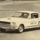 shelby-archive-1