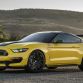 Ford Shelby GT350 Mustang Ole Yeller 2016 (1)