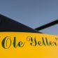 Ford Shelby GT350 Mustang Ole Yeller 2016 (17)
