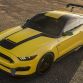 Ford Shelby GT350 Mustang Ole Yeller 2016 (3)