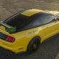 Ford Shelby GT350 Mustang Ole Yeller 2016 (4)