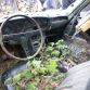 Junkyard France (151)