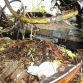 Junkyard France (85)
