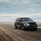 Discovery Sport Black LE