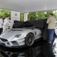 2016-mazzanti-evantra-millecavalli-12