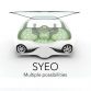 renault-syeo (2)