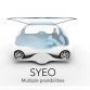 renault-syeo (3)