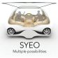 renault-syeo (6)
