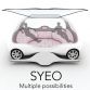 renault-syeo