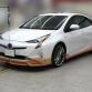 Toyota-Prius-Wald-2