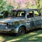 Abandoned Supercars and Racecars