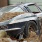 Abandoned Supercars and Racecars