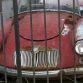 Abandoned Supercars and Racecars