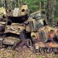 Abandoned Supercars and Racecars