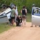 African Elephant Overturns and Punctures Small Car