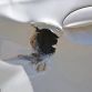 African Elephant Overturns and Punctures Small Car