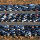 Airport Kuntz Full Of Sandy-Damaged Cars