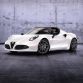 140304_ar_4c_spider_00