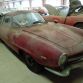 alfa-barnfind-01