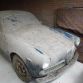 alfa-barnfind-17