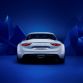 AlpineVision-C2