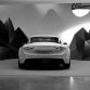 AlpineVision-C39