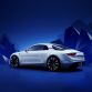 AlpineVision-C4