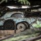 Amazing_French_barnfind_53