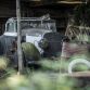 Amazing_French_barnfind_82