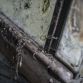 Amazing_French_barnfind_88