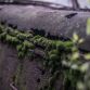 Amazing_French_barnfind_91