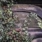 Amazing_French_barnfind_97