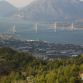 Anavasi Patras 2011