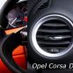 Arrinera comparison