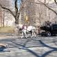 artist-jeremy-dean-transforming-hummer-h2-into-horse-cart-12