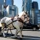 artist-jeremy-dean-transforming-hummer-h2-into-horse-cart-17