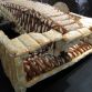 asia-largest-race-car-made-from-bread-5