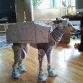AT-AT Dog