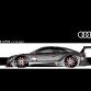 Audi A5 DTM