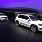 Audi and VW Stands in Frankfurt 2013