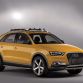 Audi Q3 Jinlong Yufeng Concept