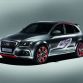 audi-q5-custom-concept-worthersee-tour-2009-16.jpg