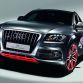 audi-q5-custom-concept-worthersee-tour-2009-4.jpg