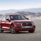 Static photo, Colour: Garnet red