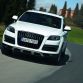 audi-q7-facelift-2010-14.jpg