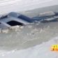 Audi Q7 on ice (5)