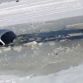 Audi Q7 on ice (6)