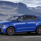 Audi RS Q3 performance